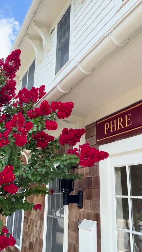 MEET PHRE salon video advertisement